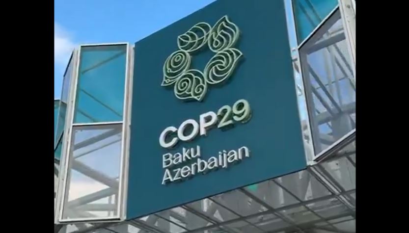 COP29